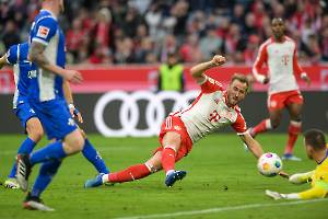 FCBSVD_20231028_3095