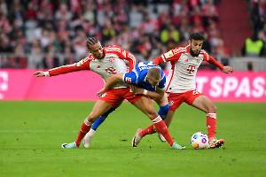 FCBSVD_20231028_3171