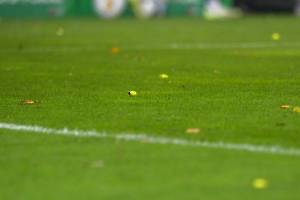 FCSFCB_20231101_0941