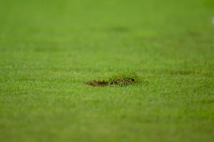 FCSFCB_20231101_1075