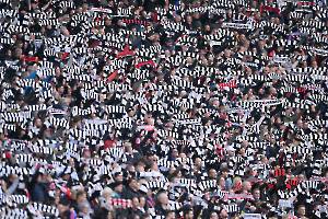 SGEFCB_20241006_0557