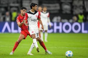 SGEFCB_20241006_3073