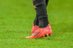 FSVFCB_20241030_2194