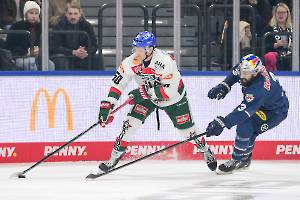 241123 EHC RedBull München - Augsburger Panther