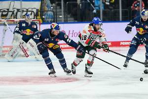 241123 EHC RedBull München - Augsburger Panther