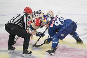 RBMSWW_20250213_0591