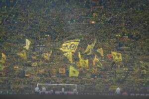 BvBFCB_20250415_0949