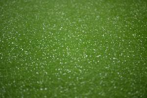 DFBPOR_20250604_0089